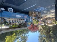 IMG_7005.jpg