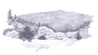 GAL-039d_TIF_MSTR.tif