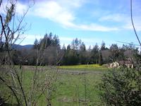 DSCN2310.JPG