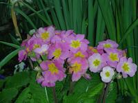 DSCN3011.JPG