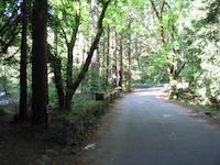 Hamm's Gulch trail head on Road to Lauriston.JPG