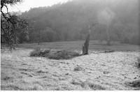 DEN-016c6p_TIF_MSTR.tif