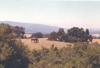 BOR-022d_JPG_MSTR.jpg