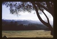 Afternoon fog PV.tif