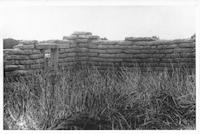 CAS-002p_Buelna adobe.tif