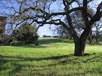 img_001_0150_239  Residence setting.JPG
