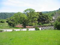 View of Blue Oaks frm PVRanch.jpg