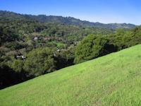 img_001_0077_161 grassy slope.jpg