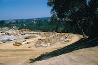 Sequoias - General View - taken July 14, 1960.jpg