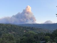 8.18.2020 IMG_2378 (002).jpg
