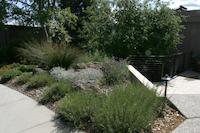 img_001_0131_219  Residence landscaping.jpg