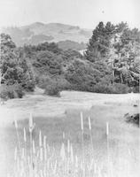 SCE-056p_TIF_MSTR.tif