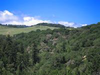 Spring Ridge vista.JPG