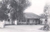 Picture42.jpg