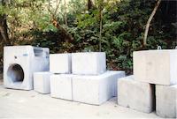 ALP-012p_TIF_MSTR.tif