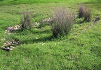 img_001_0163_253  rock lined basin.JPG