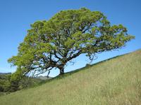 IMG_1423.JPG