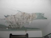 1a - IMG_1917 e.jpg