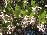 IMG_1200.JPG