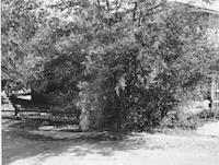 FIR-026p_TIF_MSTR.tif
