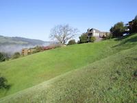img_001_0169_258  Ground fog in distance.JPG