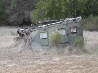 P2047369_backyard.jpg