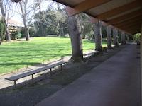 IMGP9171.JPG