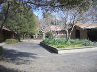IMGP9254.JPG