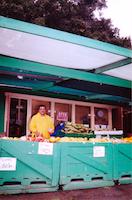 STA-018p_TIF_MSTR.tif