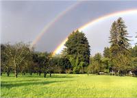 Double rainbow.tif