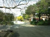 ROA-B-005d_JPG_MSTR.jpg