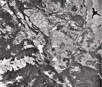AER-097d_1960.jpg
