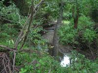 DSCN3254.JPG