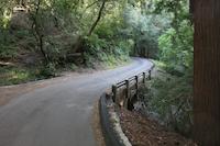 IMG_7123.JPG