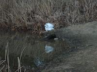 DSCN2610.JPG