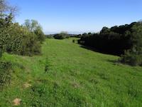 img_001_0044_133 Meadow on Spanish Trail.jpg