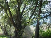 DSCN2311.JPG
