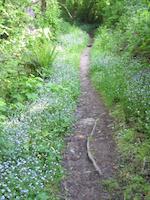 Windy Hill__9149.JPG