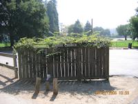 IMG_0574.JPG