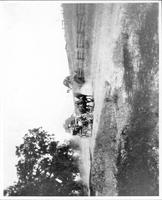 HAL-005c1p  horse & carriage on Portola Road.jpg