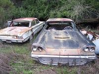 The Woods' car lot 10.JPG