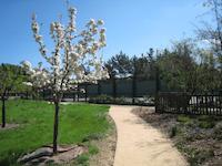 PVRanch trail thru orchard.JPG