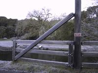 Frosted gate.JPG