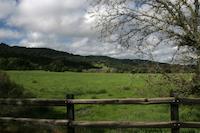 Meadow Portola Rd.jpg
