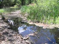 Pond on Spanish Trail.JPG