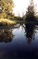 PVR Lower pond.jpg