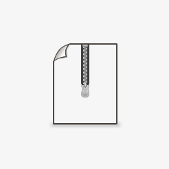 Carnochan.docx.zip